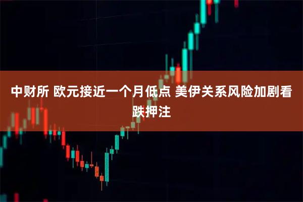 中财所 欧元接近一个月低点 美伊关系风险加剧看跌押注