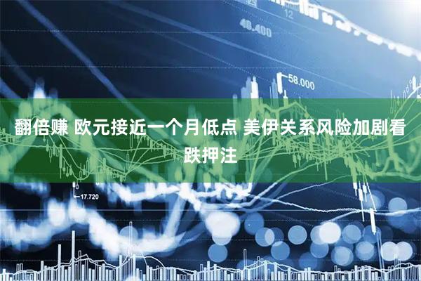 翻倍赚 欧元接近一个月低点 美伊关系风险加剧看跌押注