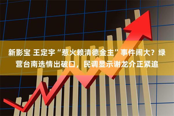 新影宝 王定宇“惹火赖清德金主”事件闹大？绿营台南选情出破口，民调显示谢龙介正紧追