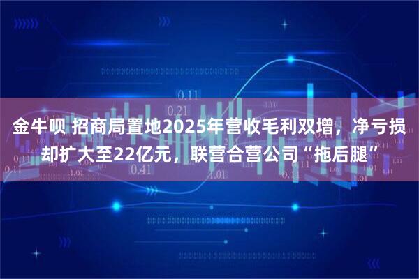 金牛呗 招商局置地2025年营收毛利双增，净亏损却扩大至22亿元，联营合营公司“拖后腿”