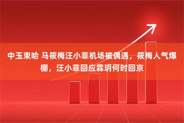 中玉束哈 马筱梅汪小菲机场被偶遇，筱梅人气爆棚，汪小菲回应霖玥何时回京