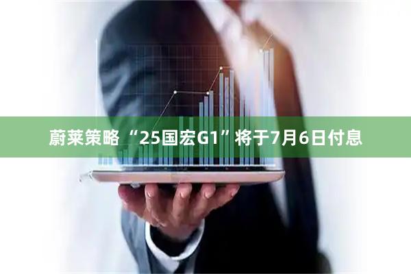 蔚莱策略 “25国宏G1”将于7月6日付息