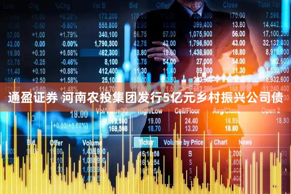 通盈证券 河南农投集团发行5亿元乡村振兴公司债