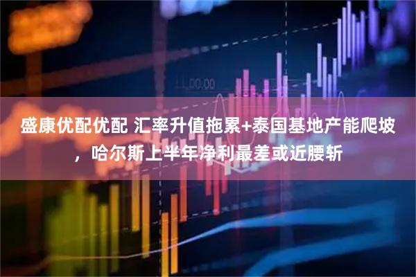 盛康优配优配 汇率升值拖累+泰国基地产能爬坡，哈尔斯上半年净利最差或近腰斩