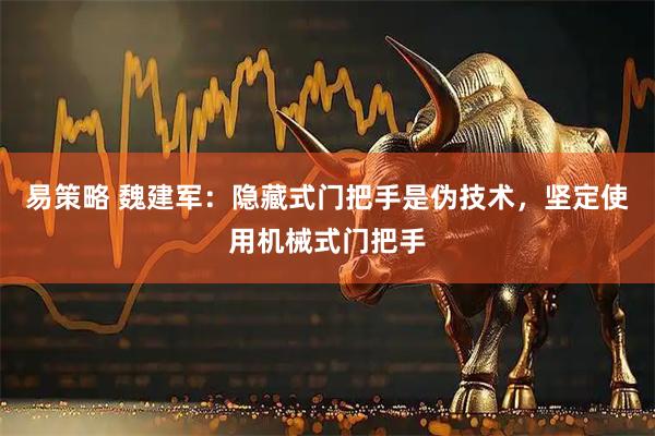 易策略 魏建军：隐藏式门把手是伪技术，坚定使用机械式门把手
