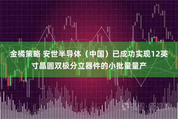 金橘策略 安世半导体（中国）已成功实现12英寸晶圆双极分立器件的小批量量产