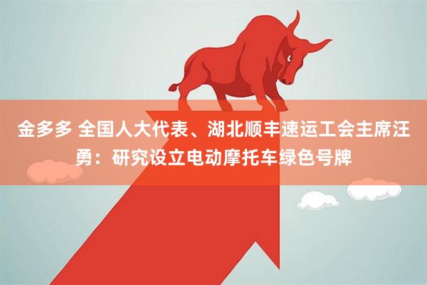 金多多 全国人大代表、湖北顺丰速运工会主席汪勇：研究设立电动摩托车绿色号牌