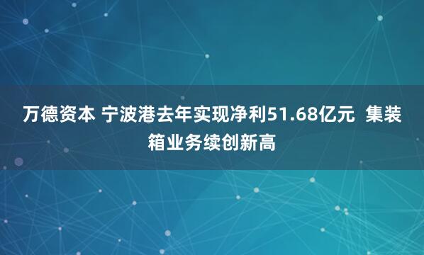 万德资本 宁波港去年实现净利51.68亿元  集装箱业务续创新高