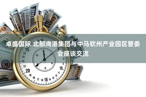 卓盛国际 北部湾港集团与中马钦州产业园区管委会座谈交流