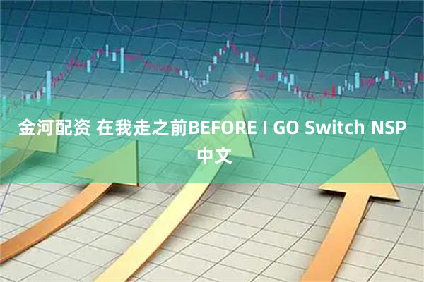 金河配资 在我走之前BEFORE I GO Switch NSP 中文