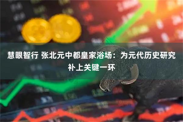 慧眼智行 张北元中都皇家浴场：为元代历史研究补上关键一环