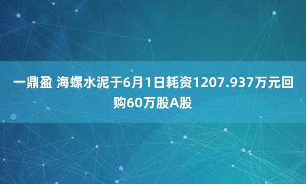 一鼎盈 海螺水泥于6月1日耗资1207.937万元回购60万股A股