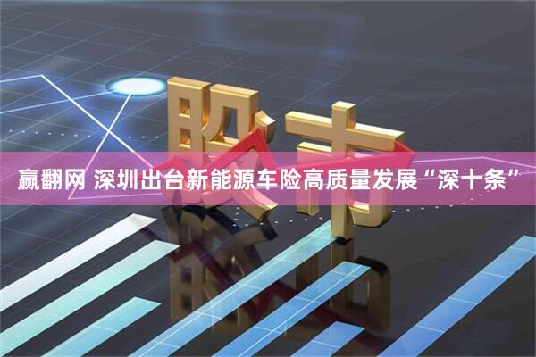 赢翻网 深圳出台新能源车险高质量发展“深十条”