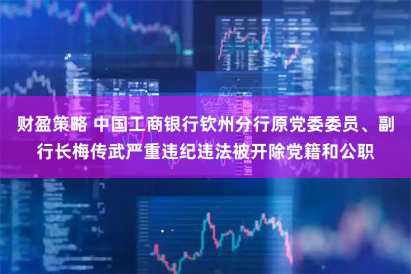 财盈策略 中国工商银行钦州分行原党委委员、副行长梅传武严重违纪违法被开除党籍和公职
