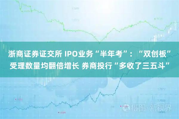浙商证券证交所 IPO业务“半年考”：“双创板”受理数量均翻倍增长 券商投行“多收了三五斗”
