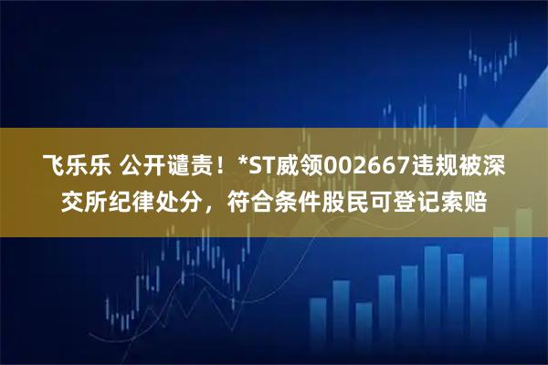 飞乐乐 公开谴责！*ST威领002667违规被深交所纪律处分，符合条件股民可登记索赔